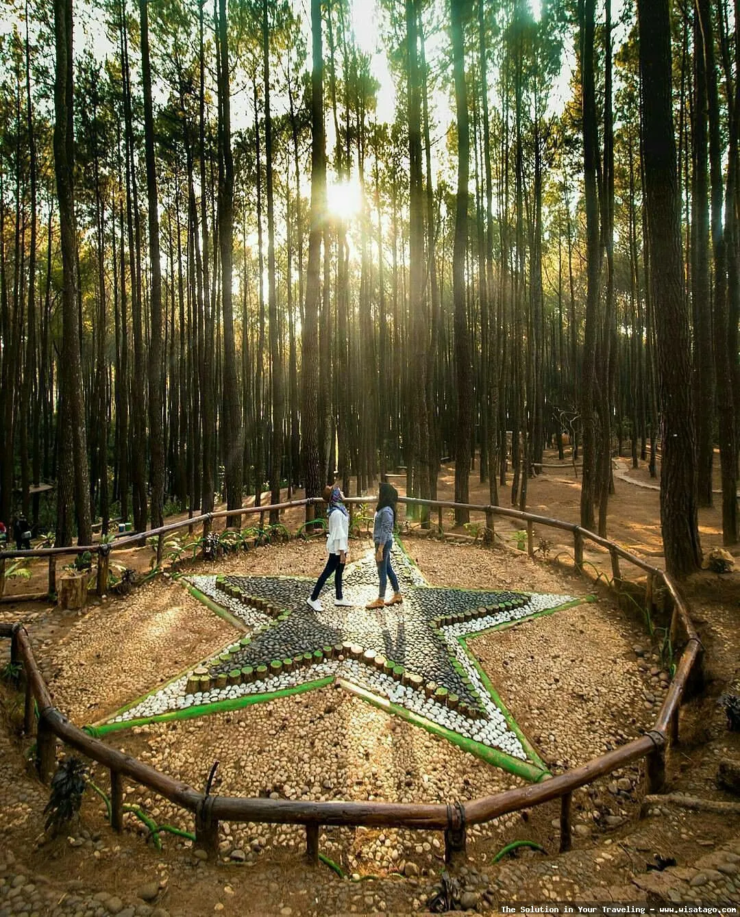 Wisata Hutan Pinus Sanggaran Agung nan indah