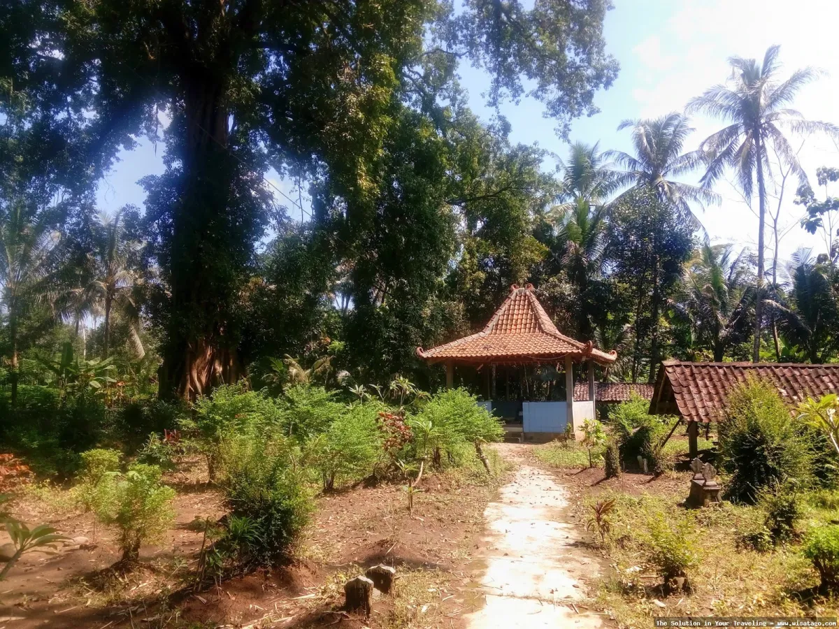 Wisata Kampung Bambu yang asri