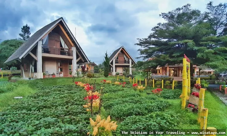 Wisata Kampung Bambu yang asri