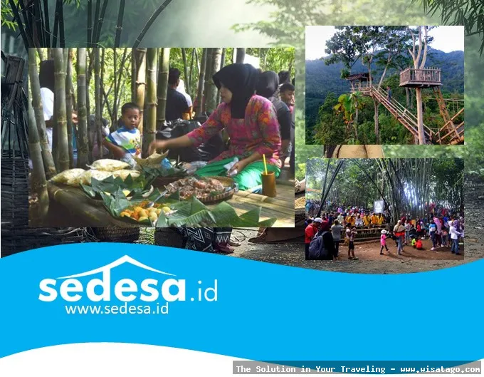 Wisata Kampung Bambu yang asri