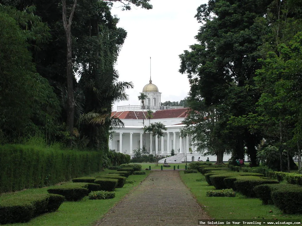 Wisata Kebun Raya Bogor yang asri