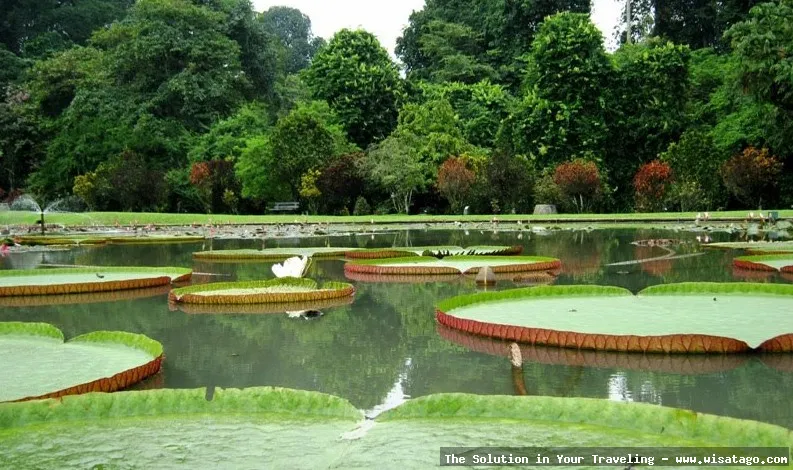 Wisata Kebun Raya Bogor yang asri
