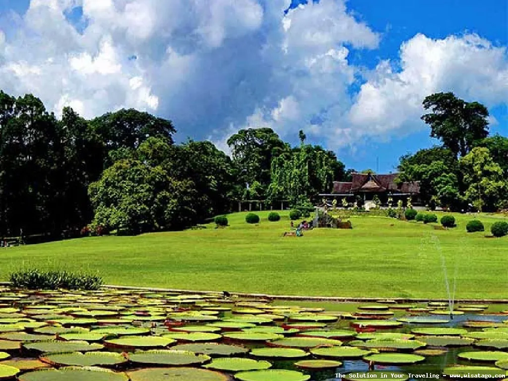 Wisata Kebun Raya Bogor yang asri