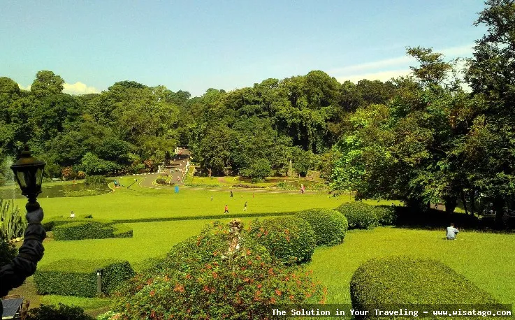 Wisata Kebun Raya Bogor nan hijau