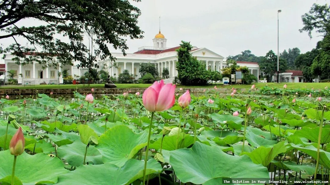 Wisata Kebun Raya Bogor yang asri