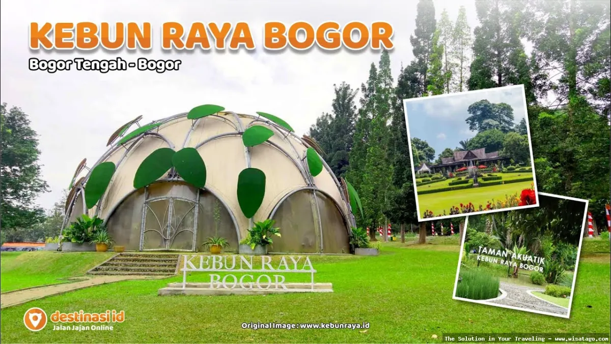 Wisata Kebun Raya Bogor yang asri