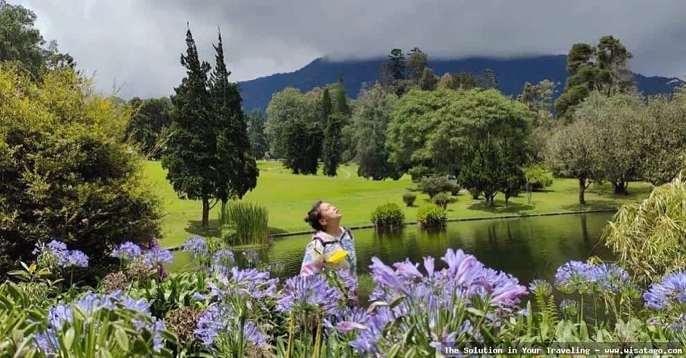 Wisata Kebun Raya Cibodas Cianjur indah