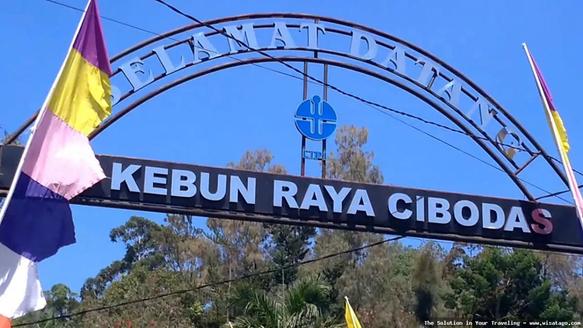 Wisata Kebun Raya Cibodas Cianjur sejuk