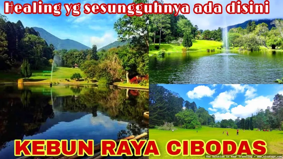 Wisata Kebun Raya Cibodas Cianjur sejuk