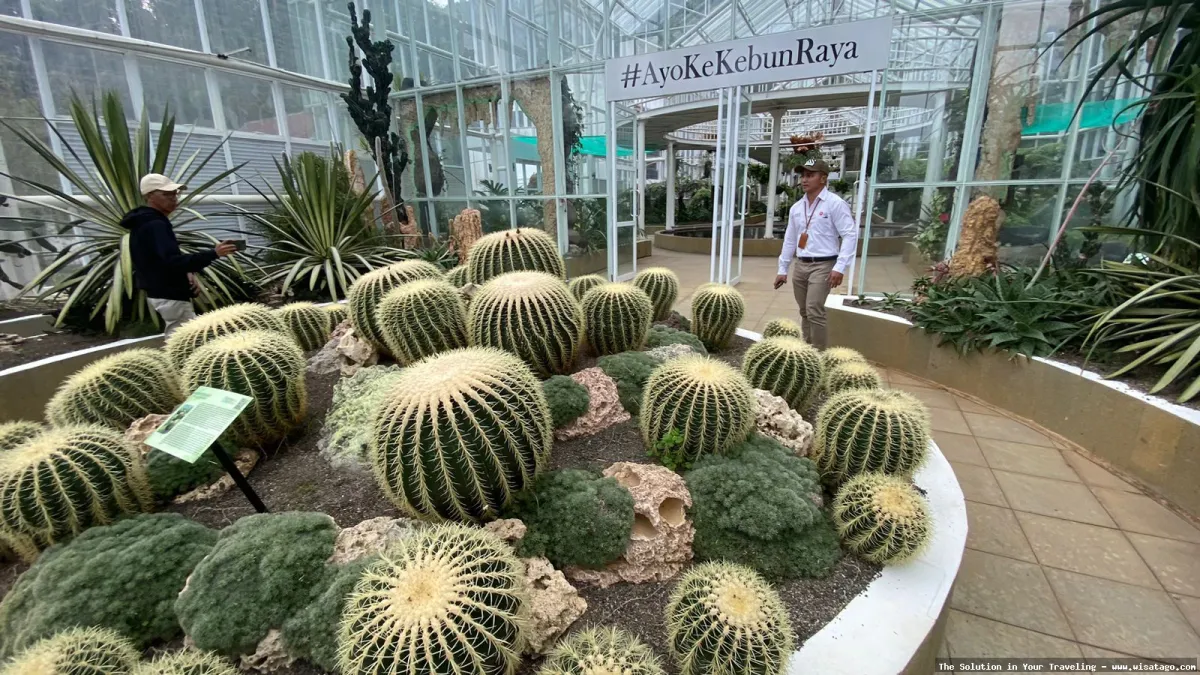 Wisata Kebun Raya Cibodas Cianjur asri.
