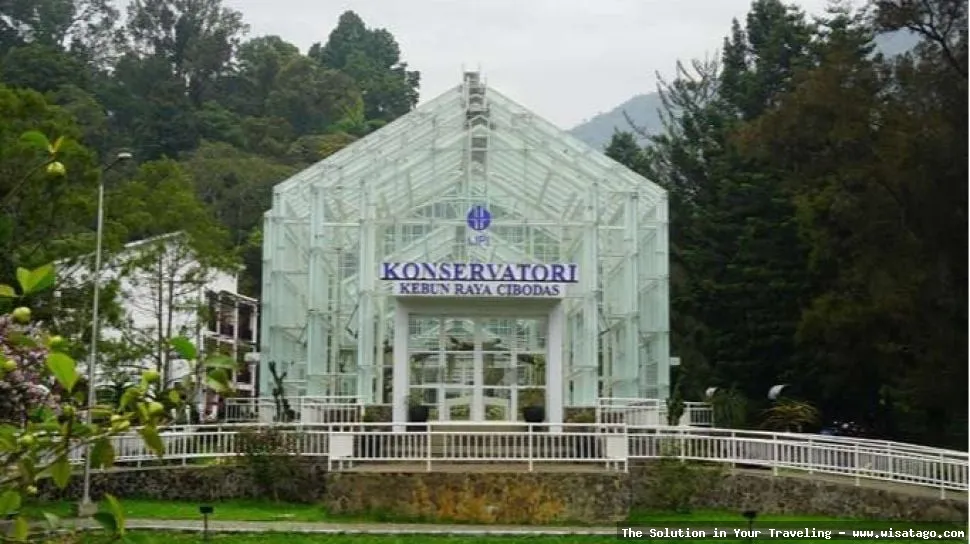 Wisata Kebun Raya Cibodas Cianjur indah