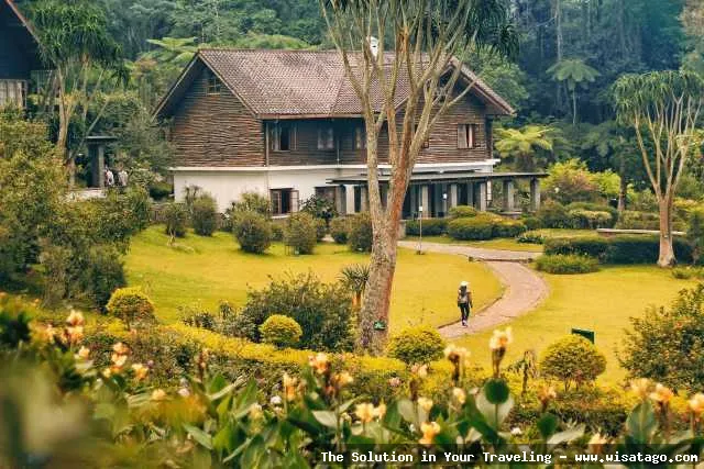 Wisata Kebun Raya Cibodas Cianjur asri