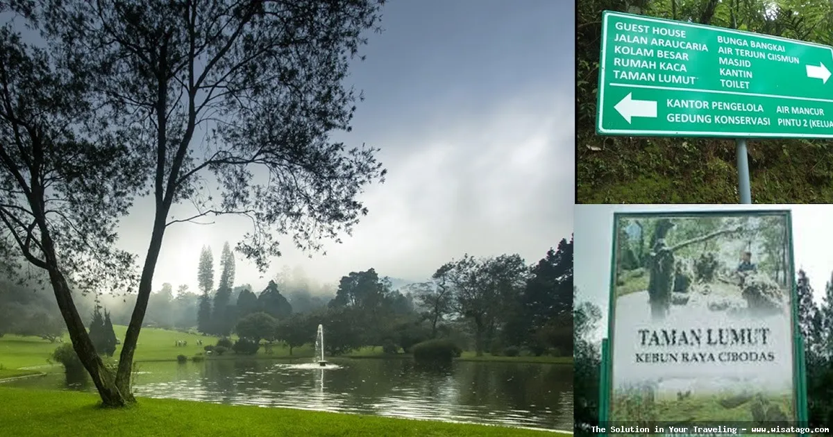 wisata Kebun Raya Cibodas Cianjur indah