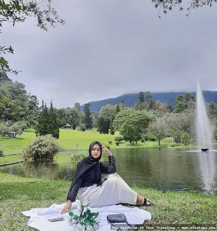 Wisata Kebun Raya Cibodas Cianjur sejuk