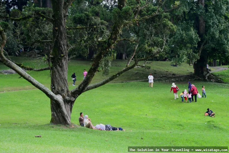 Wisata Kebun Raya Cibodas Cianjur indah