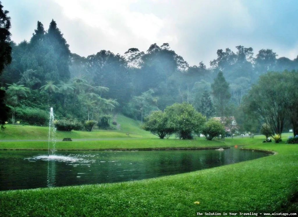 Wisata Kebun Raya Cibodas Cianjur indah