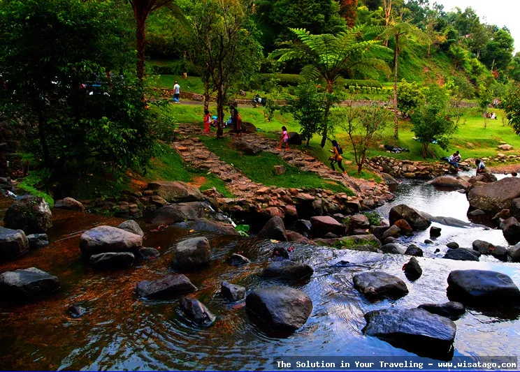 Wisata Kebun Raya Cibodas Cianjur sejuk