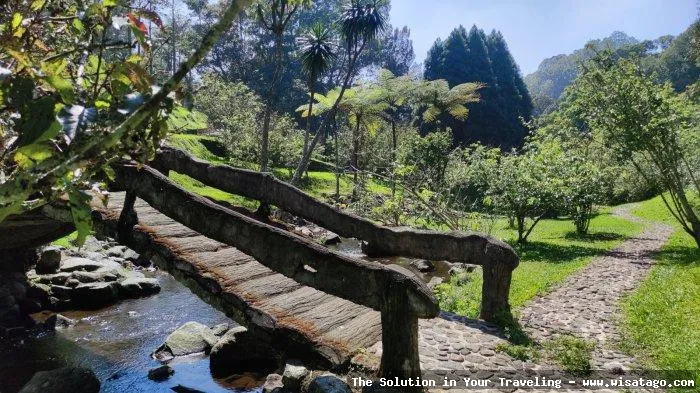 Wisata Kebun Raya Cibodas Cianjur sejuk