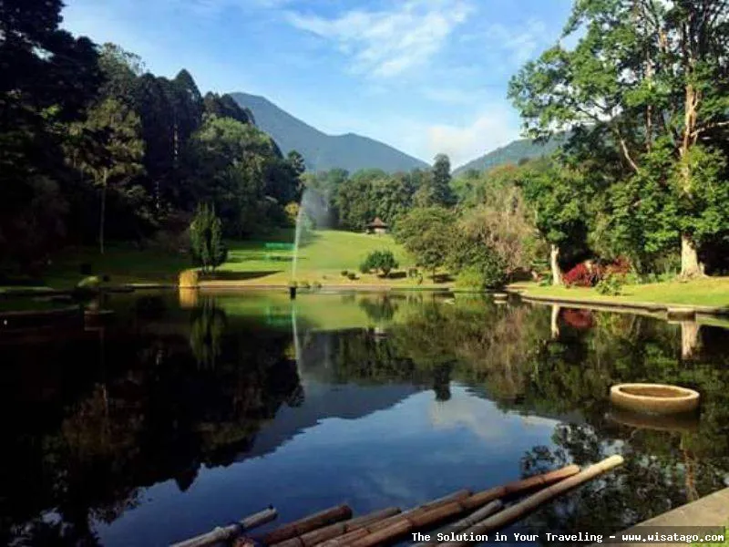 Wisata Kebun Raya Cibodas Cianjur sejuk