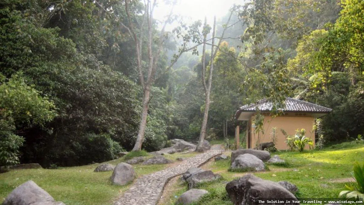 Wisata Kebun Raya Cibodas Cianjur sejuk