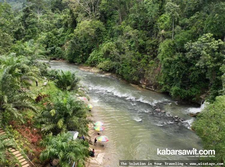 Wisata Kebun Sawit Jasli yang asri