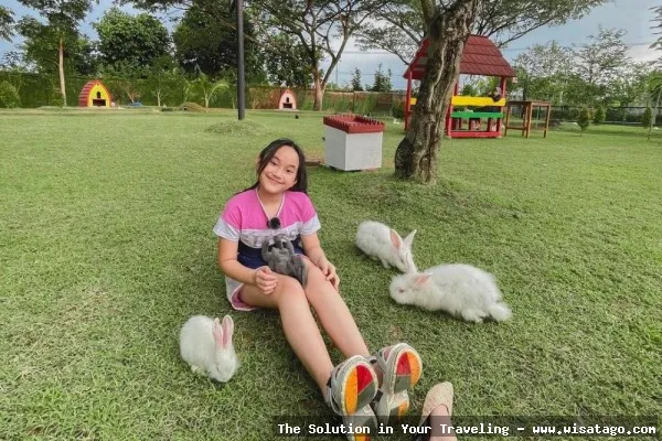 wisata Kebun SKD Pulau Simcut indah