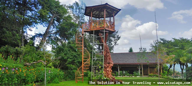 wisata Kebun Wisata Inkarla yang indah