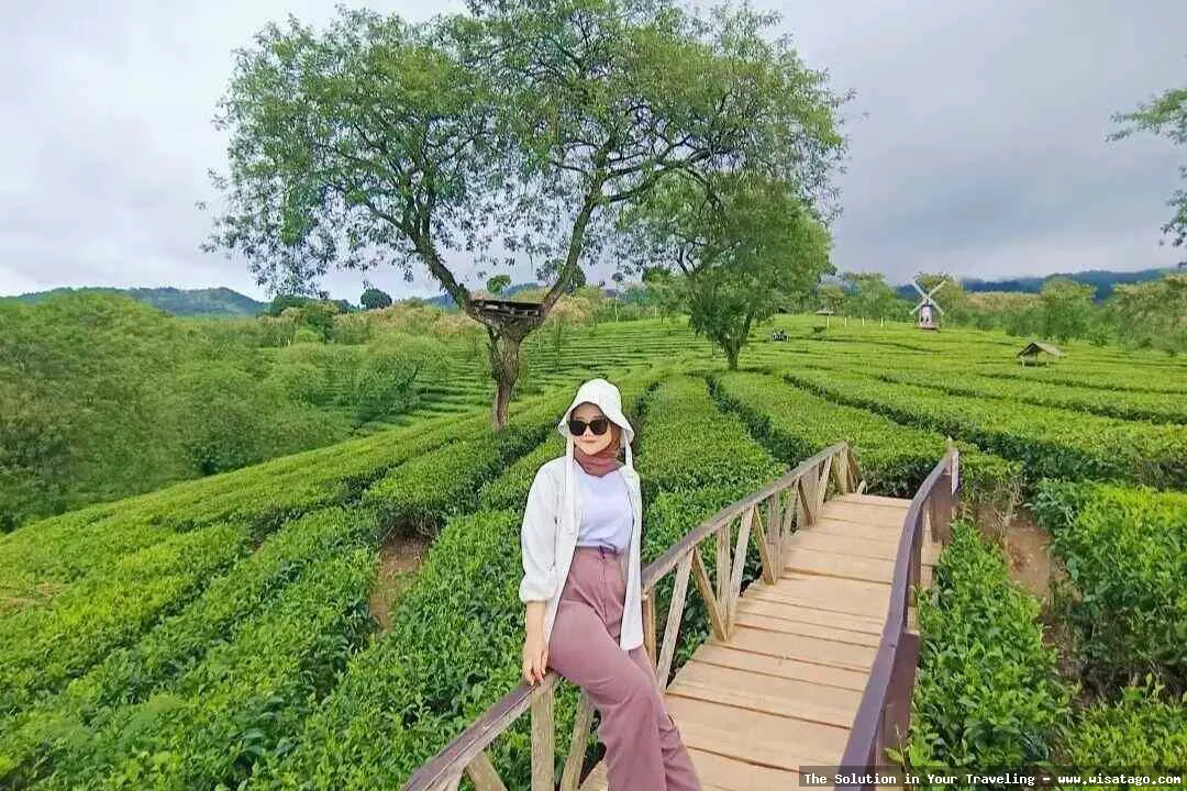 Wisata Kebun Wisata Inkarla yang asri