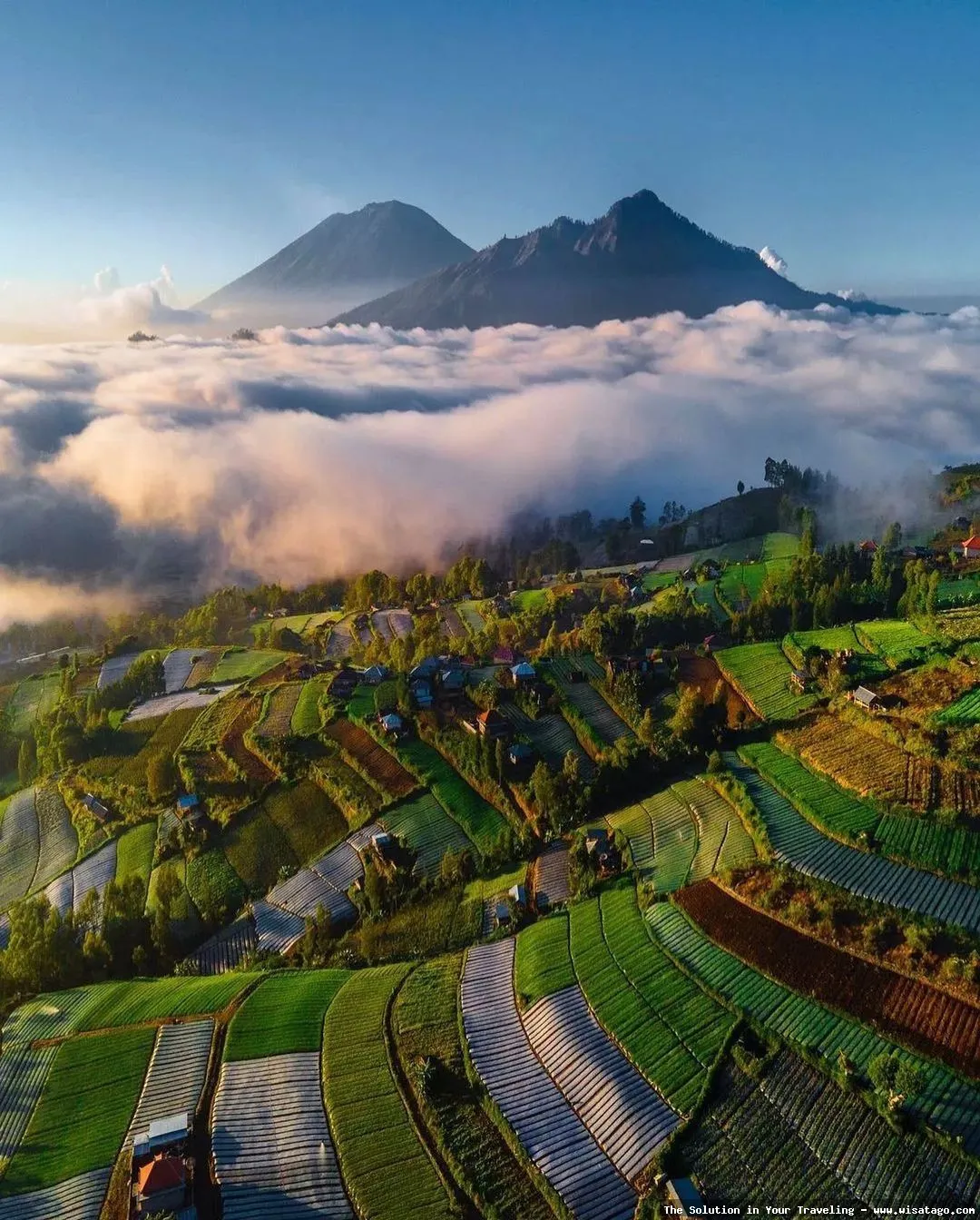 Wisata Kintamani: panorama danau Batur