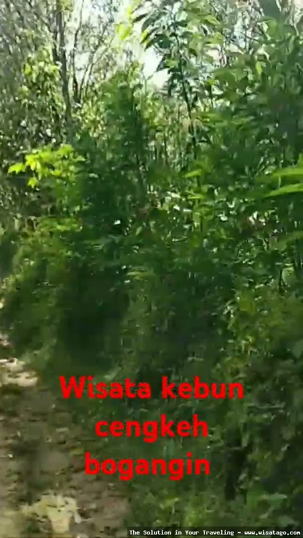 Wisata Makam Bukit Cengkeh yang tenang