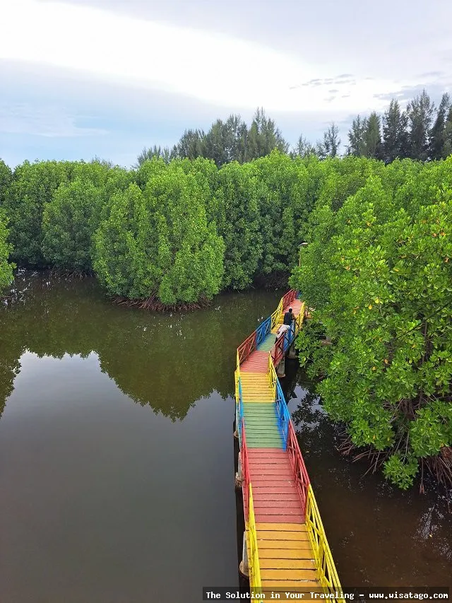 Wisata Manggrove Kuala Bakti: Tips, Harga Tiket, Kuliner, Lokasi, Fasilitas dan Spot