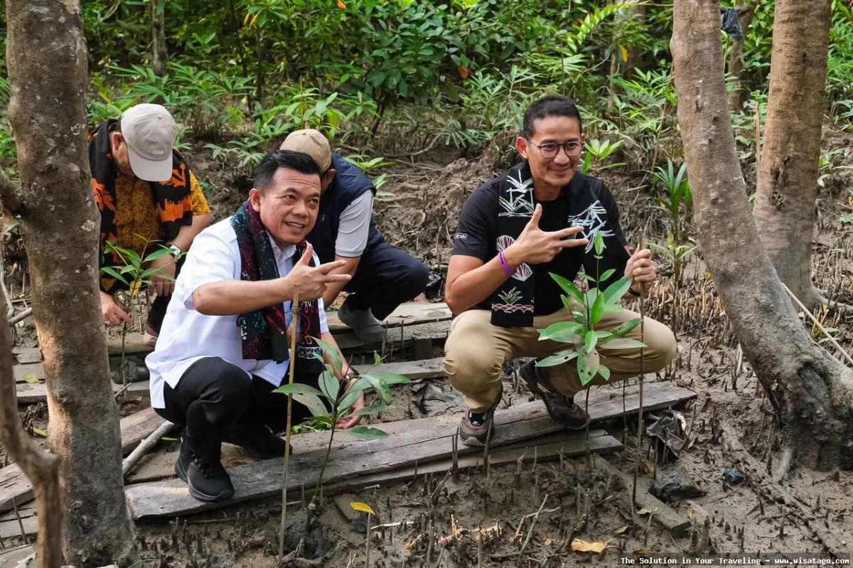 Wisata Manggrove Kuala Bakti yang asri