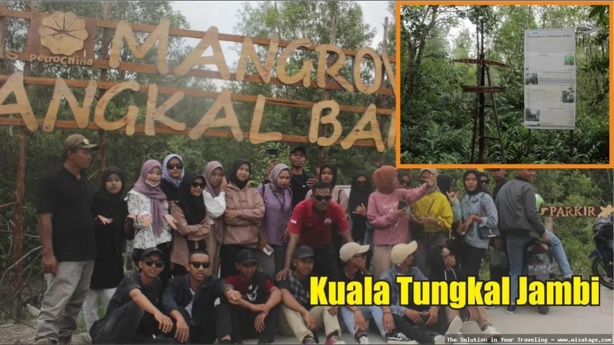Wisata Manggrove Kuala Bakti yang indah