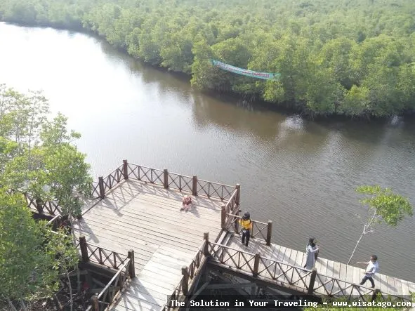 Wisata Manggrove Kuala Bakti yang asri