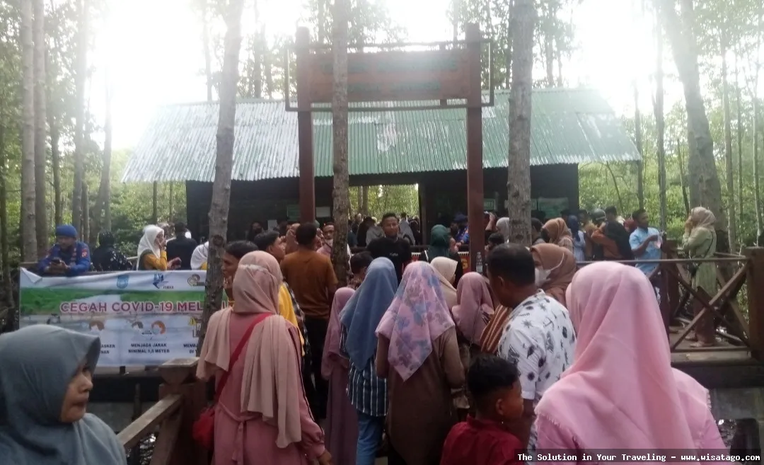 Wisata Manggrove Kuala Bakti yang asri