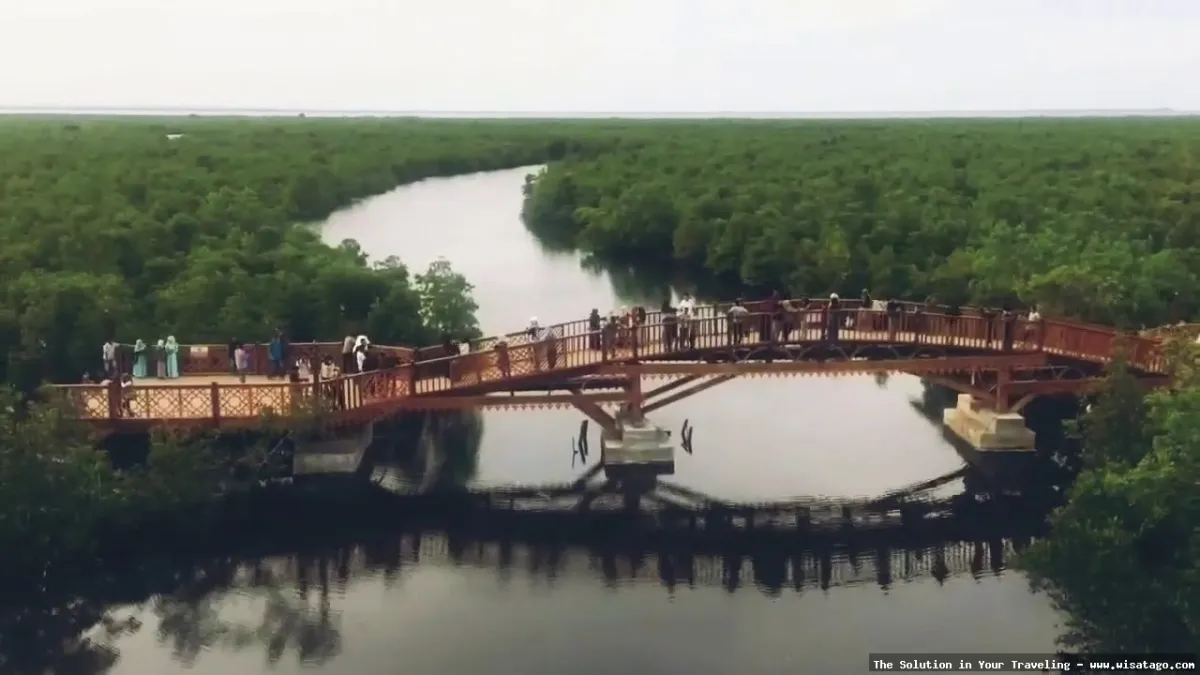 Wisata Manggrove Kuala Bakti yang asri