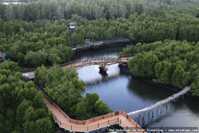 Wisata Manggrove Kuala Bakti yang asri
