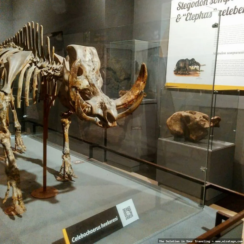 Wisata Museum Geologi Bandung menarik.