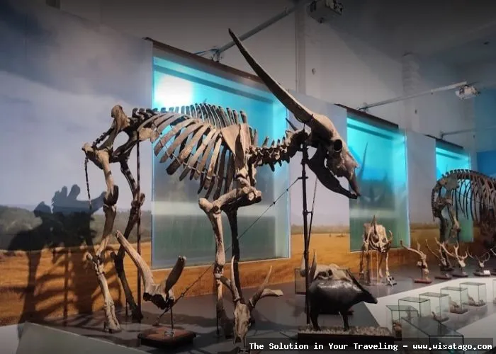 Wisata Museum Geologi Bandung menarik.