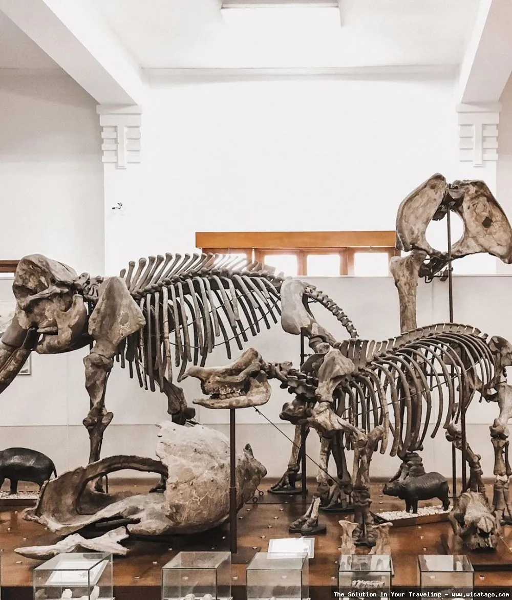 wisata Museum Geologi Bandung menarik perhatian