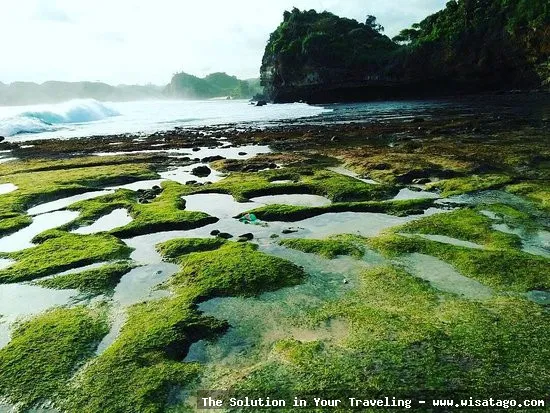 wisata Pantai Batu Bengkung menawan.