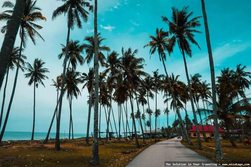 wisata Pantai Batu Bongkok yang indah