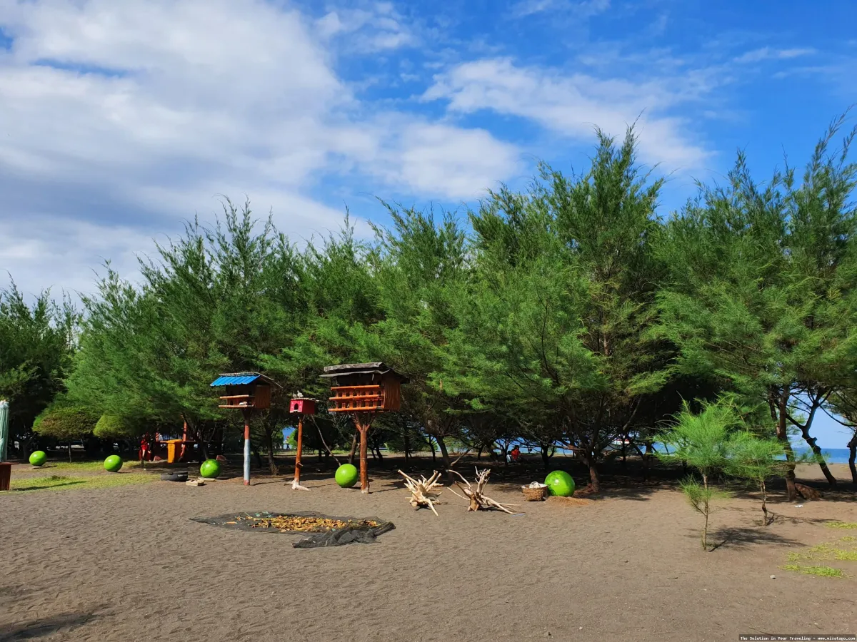 wisata Pantai Cemara yang menawan