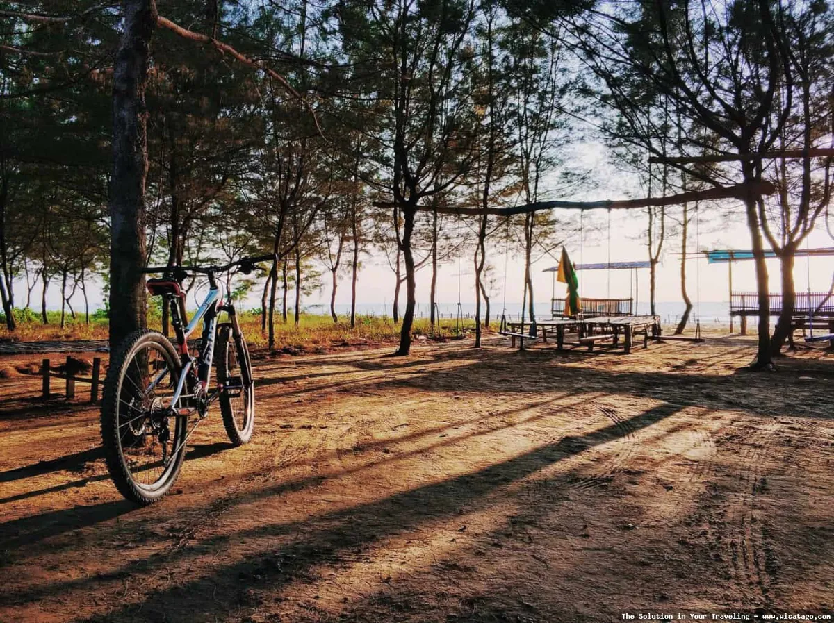 wisata Pantai Cemara yang menawan