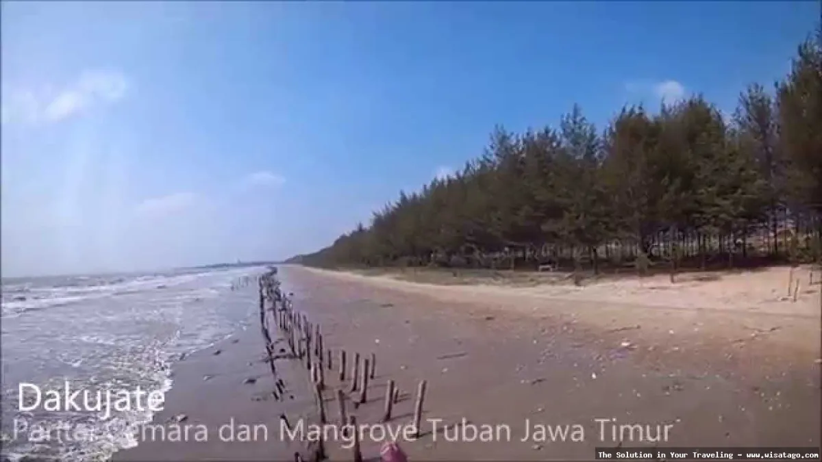 wisata Pantai Cemara yang menawan