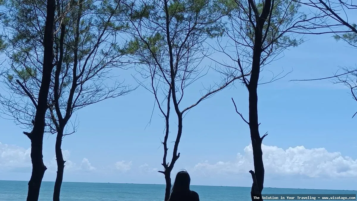 Wisata Pantai Cemara yang menawan.