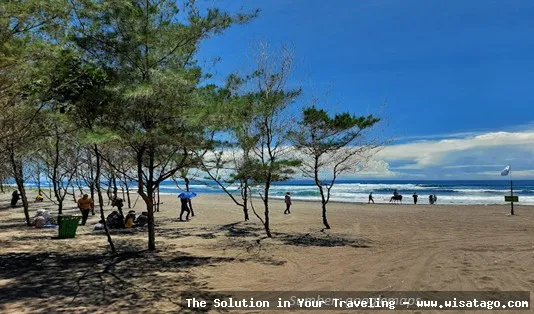 Wisata Pantai Cemara yang menawan hati