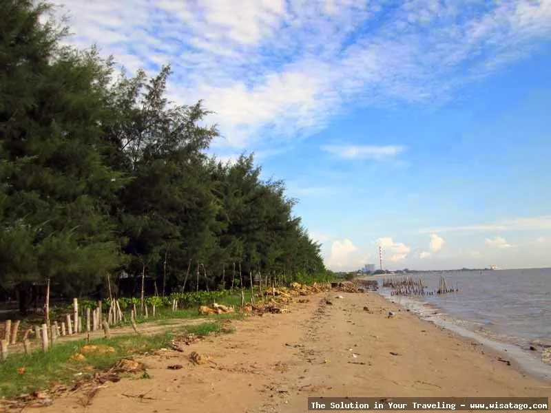 Wisata Pantai Cemara yang menawan alami