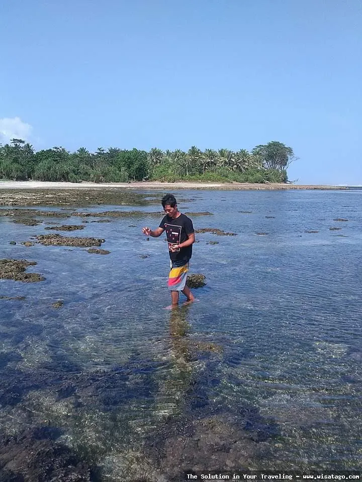 wisata Pantai Cipatujah yang menawan