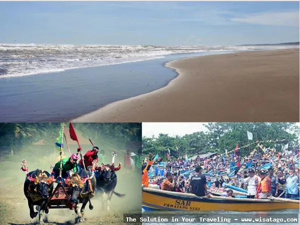 wisata Pantai Cipatujah yang menawan